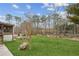 Large backyard featuring lush lawn and trees at 3113 Melissa Ct, Douglasville, GA 30135
