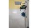 Shower stall with rainfall shower head and handheld shower; toiletries in a corner caddy at 11765 Fairway Overlook, Fayetteville, GA 30215