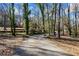 Long driveway leading to a distinguished home surrounded by mature trees at 3000 Cathedral Pl, Decatur, GA 30034