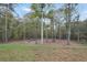 Expansive wooded backyard offering privacy and natural beauty with a firepit seating area at 3911 Peeksville Rd, Locust Grove, GA 30248