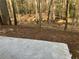 Backyard space overlooking a wooded area at 5073 Willow Point Pkwy, Marietta, GA 30068
