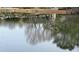 Trees are reflected on the pond's surface at 3817 Paces Ferry West, Atlanta, GA 30339