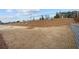 View of side and front yard with sod in a recently built new community at 1723 Juniper Berry Way, Loganville, GA 30052