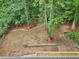 Overhead shot of lush backyard featuring mature trees and landscaping at 2210 Bolling Brook Sw Dr, Atlanta, GA 30311