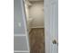 Carpeted walk-in closet with shelving at 430 Citronelle Dr, Woodstock, GA 30188