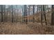 Picturesque backyard surrounded by mature trees, perfect for relaxation at 488 Morris Rd, Hiram, GA 30141