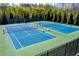 Community tennis courts with tall green trees in the background at 5750 Palmtree Pass, Cumming, GA 30040