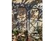 Rustic shed doors with an X design and weathered grey paint, set in a sun-dappled exterior at 362 Old Ivy Ne Rd, Atlanta, GA 30342