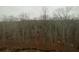 Scenic view of the wooded backyard at 5021 Falcon Pt, Douglasville, GA 30135