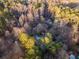 Aerial view of wooded property with the home nestled among the trees at 2057 Sugar Pike Rd, Woodstock, GA 30188