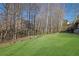 Green backyard surrounded by mature trees on a sunny day at 4050 Preserve Crossing Ln, Cumming, GA 30040