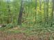 Lush wooded area, a serene landscape with abundant trees and foliage at 340 Pat Rich, Canton, GA 30115