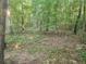 Picturesque wooded area, a serene natural landscape with an abundance of lush green trees at 340 Pat Rich, Canton, GA 30115