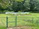 Fenced backyard with a well-maintained lawn and mature trees providing a private retreat with an in-ground pool at 1931 Harvest Way, Loganville, GA 30052