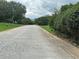 Quiet street view features an asphalt road, lush greenery, and distant foliage at 1931 Harvest Way, Loganville, GA 30052