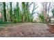 Lush backyard surrounded by mature trees, providing a private and tranquil outdoor space at 2895 Akron St, Atlanta, GA 30344