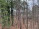 Wooded back yard with tall trees, creating a sense of privacy and nature at 911 Laurel Crest Dr, Woodstock, GA 30189