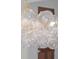 Elegant glass bubble chandelier hanging from a gold chain, adding a touch of sophistication at 114 Terrace Ne Dr, Atlanta, GA 30305