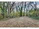 Picturesque backyard with lush greenery and mature trees at 2312 Wayside Ne Dr, Brookhaven, GA 30319