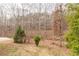 View of the wooded backyard featuring tall bare trees, a couple of small evergreens and a grassy slope at 550 Oak Ridge Dr, Oxford, GA 30054