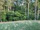 Expansive backyard featuring a lush lawn and mature trees at 866 Lakemont Dr, Canton, GA 30114