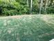 Expansive backyard featuring a lush lawn and mature trees at 866 Lakemont Dr, Canton, GA 30114