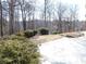 View of backyard with manicured landscaping at 735 Sunset Ridge Ln, Lawrenceville, GA 30045