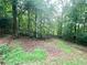 Wooded backyard area with a gentle slope and mature trees at 525 S Lost Lake Cv, Villa Rica, GA 30180