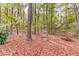 Wooded backyard with mature trees and fallen leaves on ground at 868 Clarion Way, Lawrenceville, GA 30044