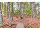 Wooded backyard with mature trees, a small bridge and fallen leaves at 868 Clarion Way, Lawrenceville, GA 30044