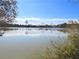 Peaceful pond reflecting the clear blue sky and surrounding neighborhood homes at 2371 Brown Dove Way Lot 4, Grayson, GA 30017