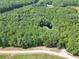 Aerial view showcases the homesite surrounded by mature trees, offering privacy at 718 Fincher Rd, Covington, GA 30016