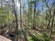 Sunlight filters through a lush forest canopy, creating a serene and inviting natural setting with green groundcover at 718 Fincher Rd, Covington, GA 30016