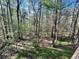 Lush green trees in a forest setting with dappled sunlight filtering through the branches to the green groundcover at 718 Fincher Rd, Covington, GA 30016