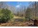 Backyard tennis court bordered by trees and greenery at 9865 Buice Rd, Alpharetta, GA 30022