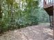 Ground level view of a wooded backyard with a natural area covered in leaves and a portion of wooden deck at 907 Fox Croft Pl, Canton, GA 30114