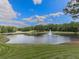 Scenic pond featuring a fountain, surrounded by lush green lawns and mature trees under a bright sky at 907 Fox Croft Pl, Canton, GA 30114