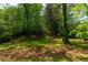 Lush green backyard featuring mature trees, creating a serene outdoor setting at 1788 Piper Se Cir, Atlanta, GA 30316