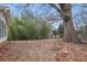 Large backyard with mature trees, bamboo, and stepping stones creating a tranquil outdoor space at 3948 Bright Star Rd, Douglasville, GA 30135