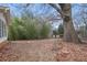 Large backyard featuring large deciduous tree, bamboo stand and some hardscaping at 3948 Bright Star Rd, Douglasville, GA 30135