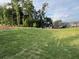 Large grassy backyard with mature trees and neighboring homes in the distance at 1209 Lakeside Overlook, Canton, GA 30114