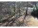 View of a tree-filled backyard with glimpses of a road in the distance at 145 Bridgewood Se Dr, Conyers, GA 30094