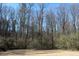 A vacant wooded backyard featuring mature trees on a sunny day at 2812 Lake Vista Dr, Buford, GA 30519