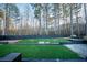 Backyard featuring an artificial turf cornhole court and a surrounding black fence at 149 Avalon Way, Sharpsburg, GA 30277