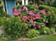 Lush landscaping featuring vibrant pink hibiscus and other flowers in front of the blue door at 243 Wedmore Ct, Suwanee, GA 30024