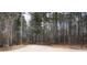 Gravel driveway surrounded by lush trees and foliage at 559 Quail Trail Rd, Auburn, GA 30011