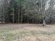 Scenic view of heavily wooded backyard at 4735 Jackam Ridge Ct, Lithonia, GA 30038