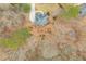 Overhead view of the property, showcasing a deck, fire pit area, and backyard at 6435 Ivey Creek Cir, Cumming, GA 30040