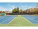 Well-maintained community tennis courts, perfect for friendly matches at 6435 Ivey Creek Cir, Cumming, GA 30040
