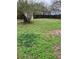 Large grass-covered back yard with tree at 304 Deerfield Dr, Jonesboro, GA 30238